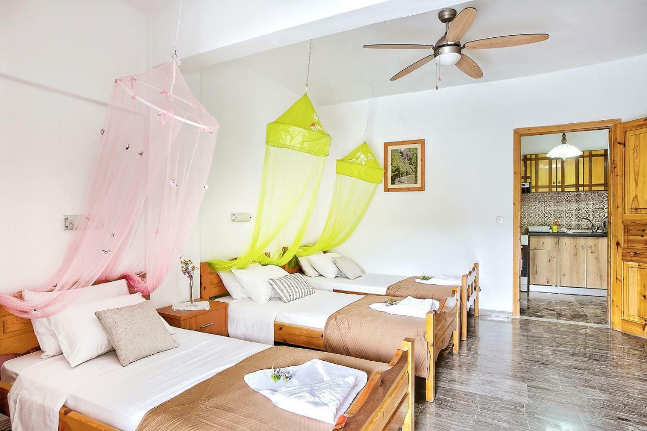 Villa Danai Agios Georgios Pagon Extérieur photo